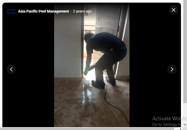 Asia Pacific Pest Management - Cover photo