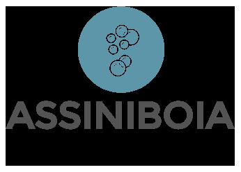Assiniboia Car Wash - Logo