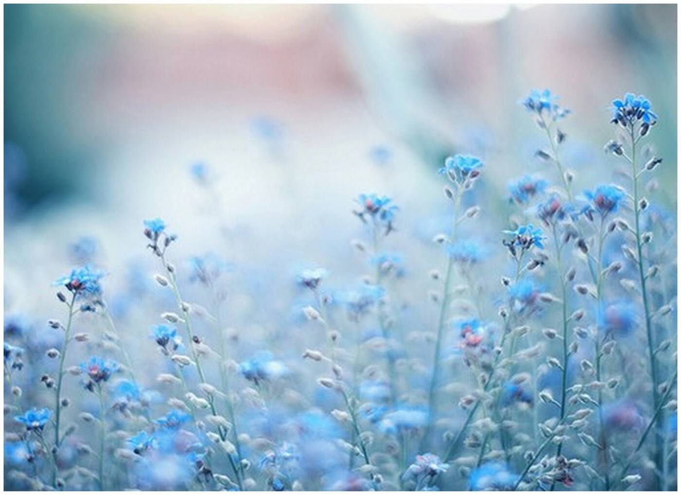 Astaria Kinesiology - Cover photo