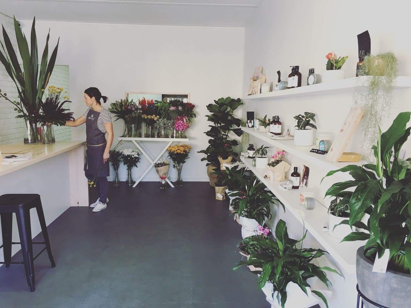 Aster & Ivy - Cover photo