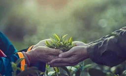 Atharv Organic Herbal India - Logo