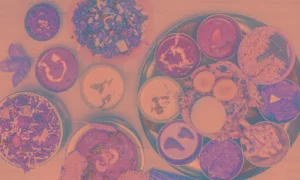 Atithi Aramane Veg - Cover photo