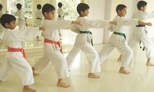 Atul Mishra Friends Academy Of Martial Arts - Logo