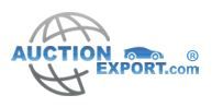 AUCTION EXPORT - Logo