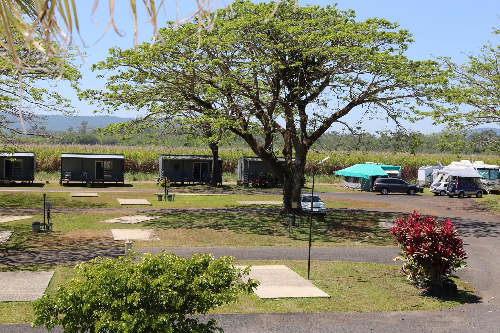 August Moon Caravan Park - Cover photo
