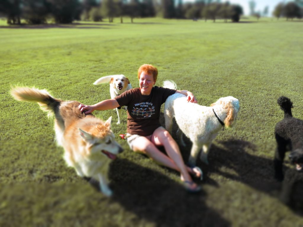 Aunt Birdie&s;s Dog Sitting - Cover photo