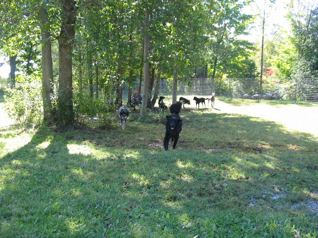 Auntie Shannon&s;s - Cover photo