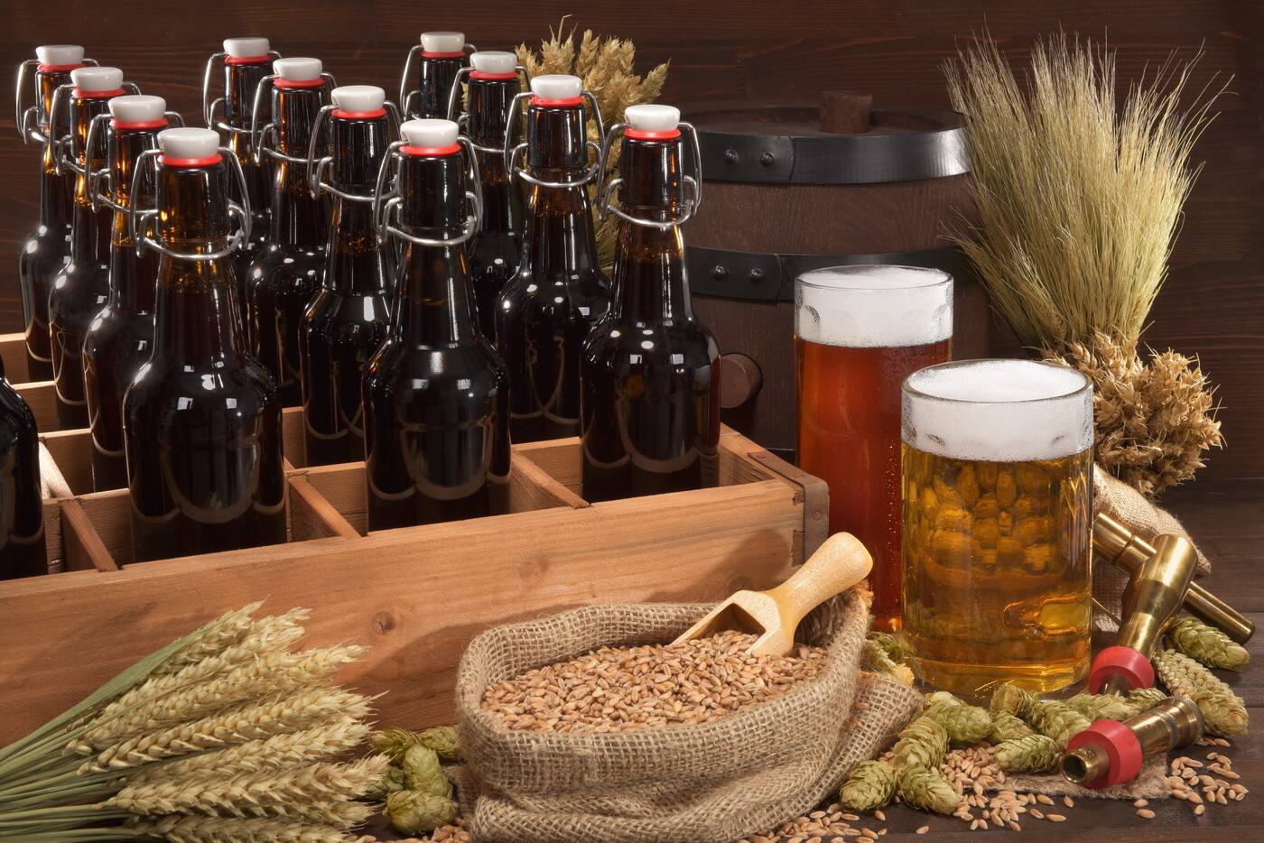 Aussie Brewmakers - Logo