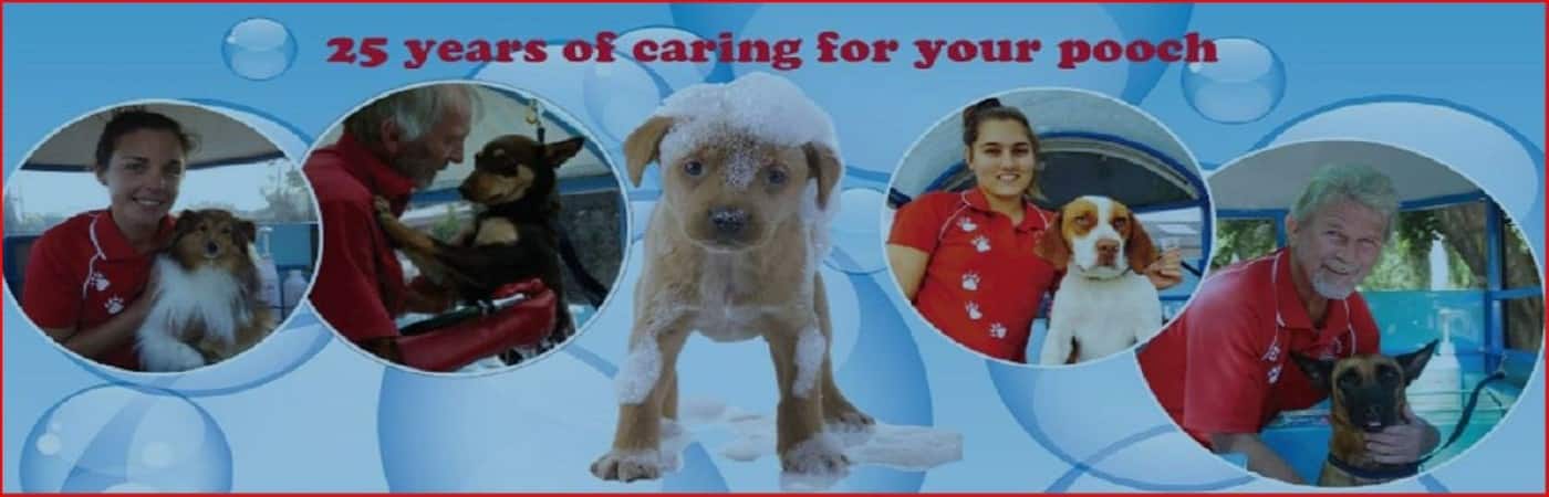Aussie Pooch Mobile Dog Wash Buderim - Logo