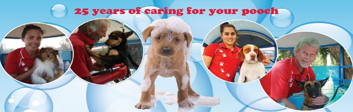 Aussie Pooch Mobile Dog Wash - Logo