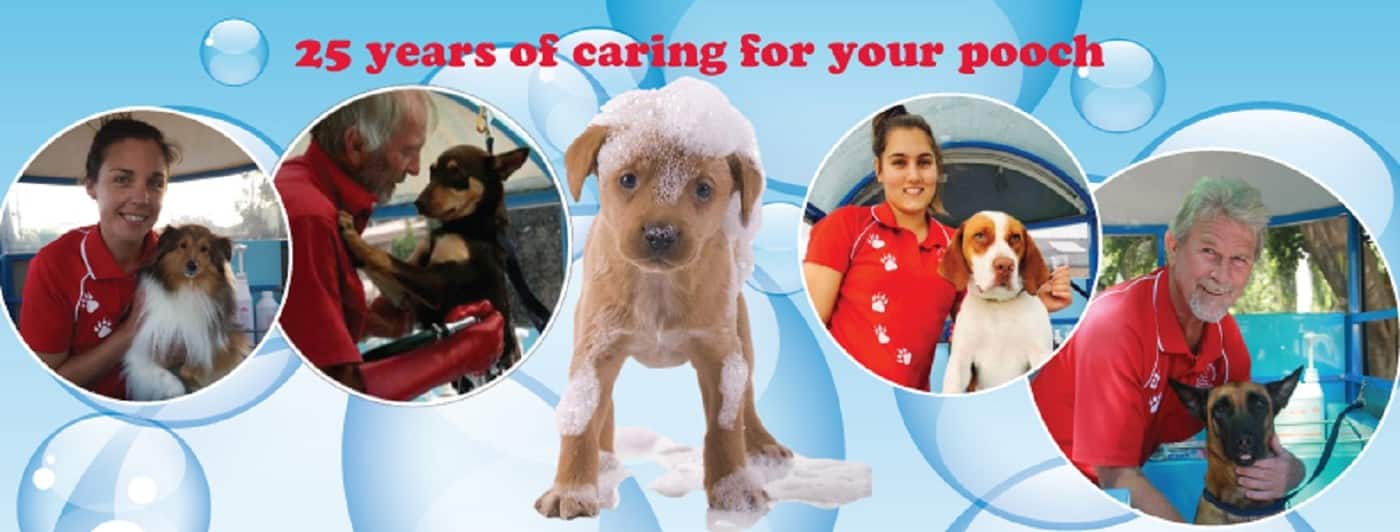 Aussie Pooch Mobile Macarthur Region - Cover photo