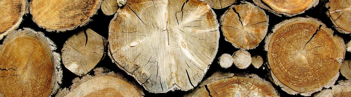 Aussie Stump Grinders - Logo