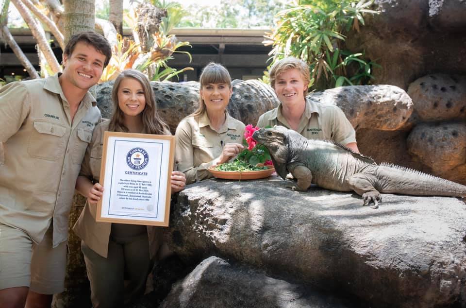 Australia Zoo - Cover photo