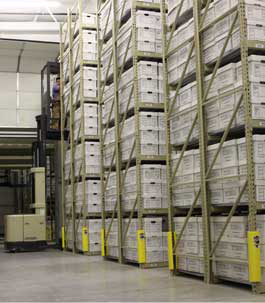 Auswide Document Management - Cover photo