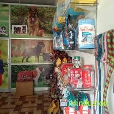 Avani Pet World - Logo
