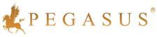 Ayaz Visram - Pegasus Mortgages - Logo