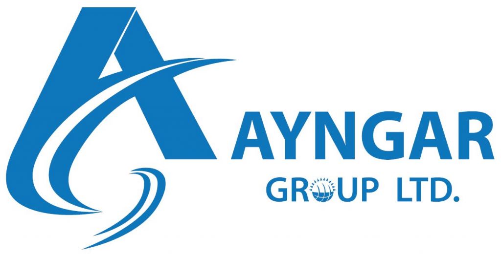 Ayngar Grooup Inc - Logo