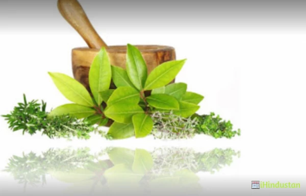 Ayur Jagruti Ayurveda Clinic - Logo