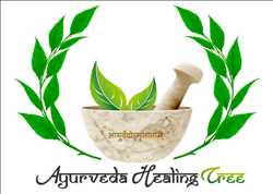 Ayurveda Healing Tree 291317 - Logo