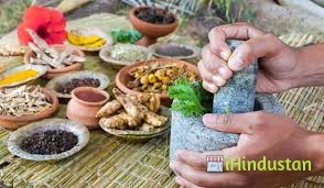 Ayurvedic Clinic - Logo