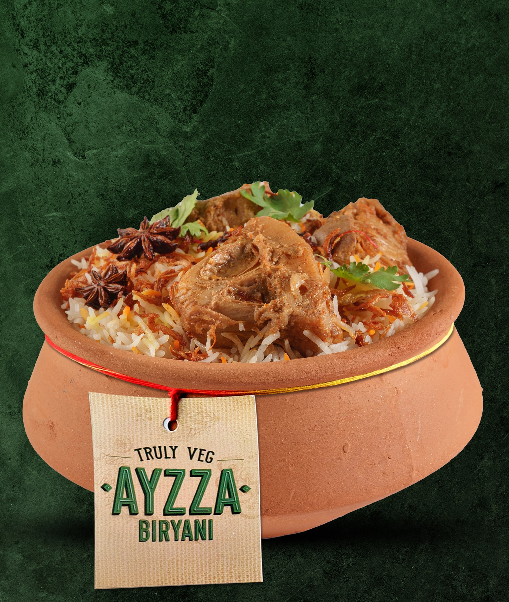 AYZZA - TRULY VEG BIRYANI - Logo