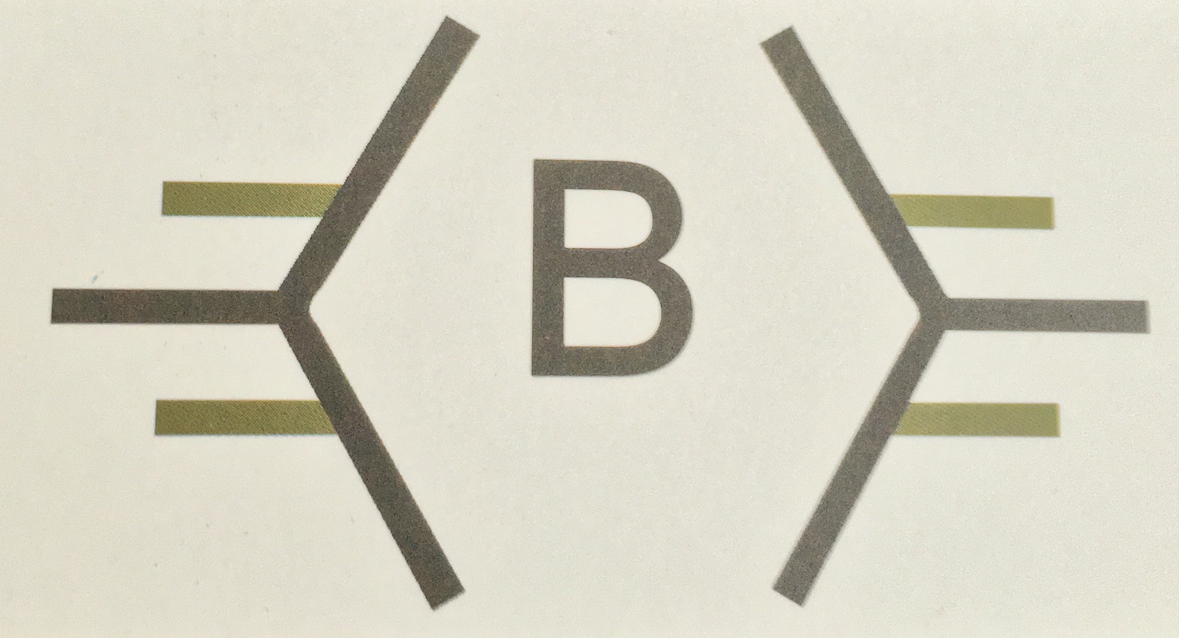 BABA INFRASTRUCTURE - Logo