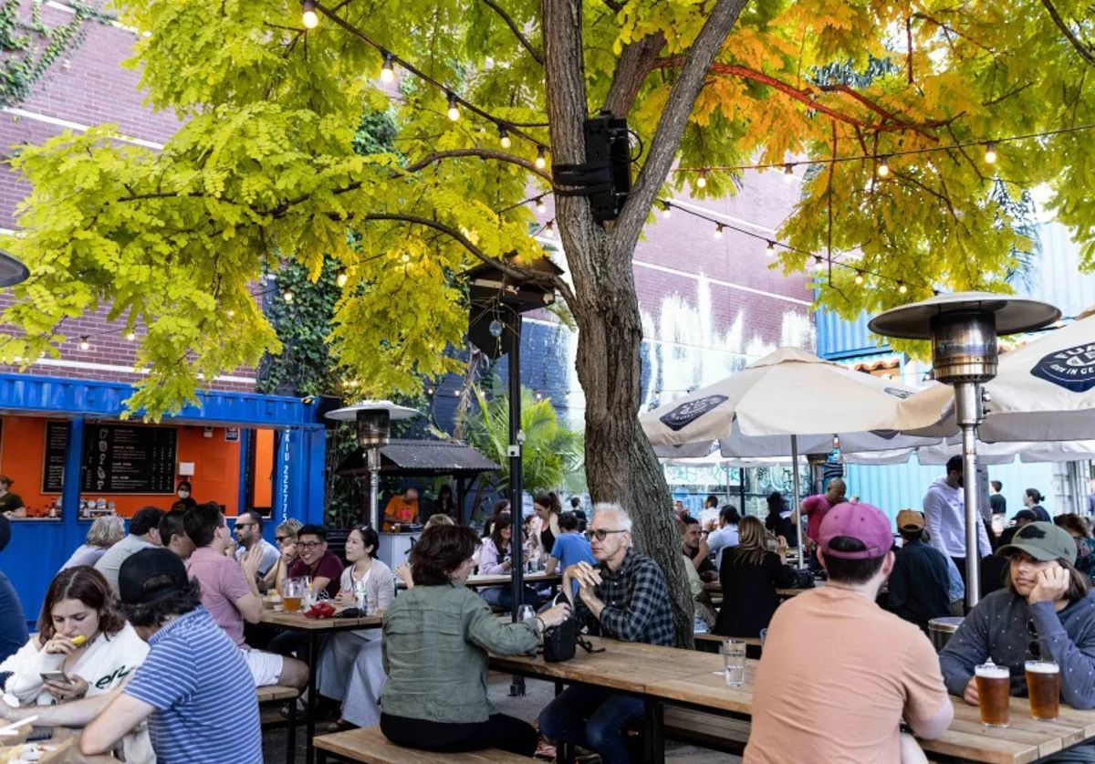 Backyard at The Alex - Logo