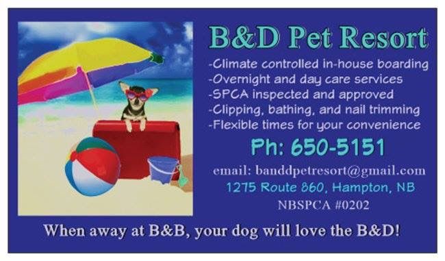 B&a;D Pet Resort Boarding &a; Grooming - Cover photo