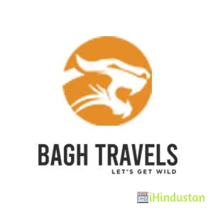 Bagh Travel - Logo