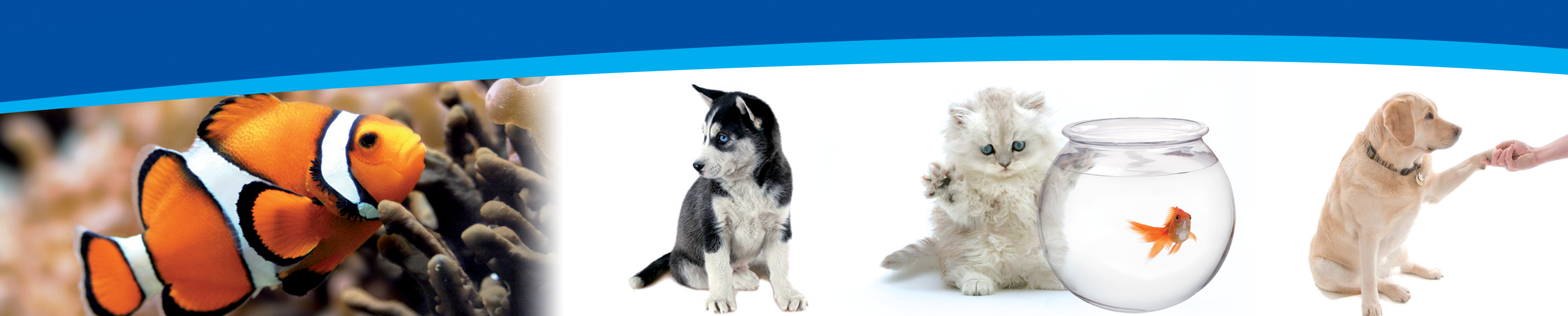 Balaclava Veterinary Surgery - Logo
