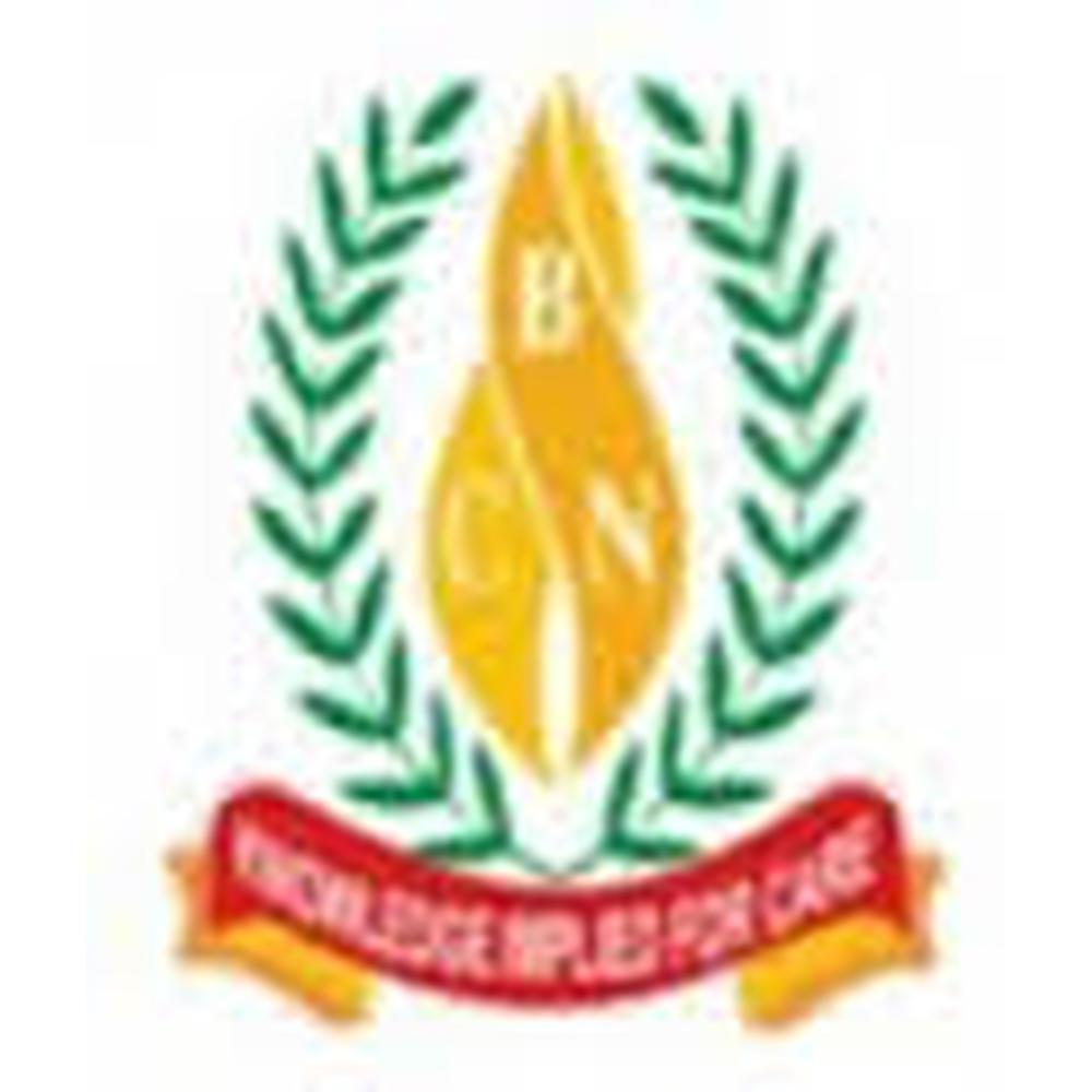 Balaji College of Nursing (BCN) - Logo