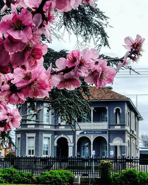 Ballarat Premier Apartments - Cover photo