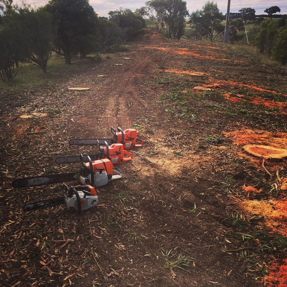 Ballarat TreeWorks - Logo