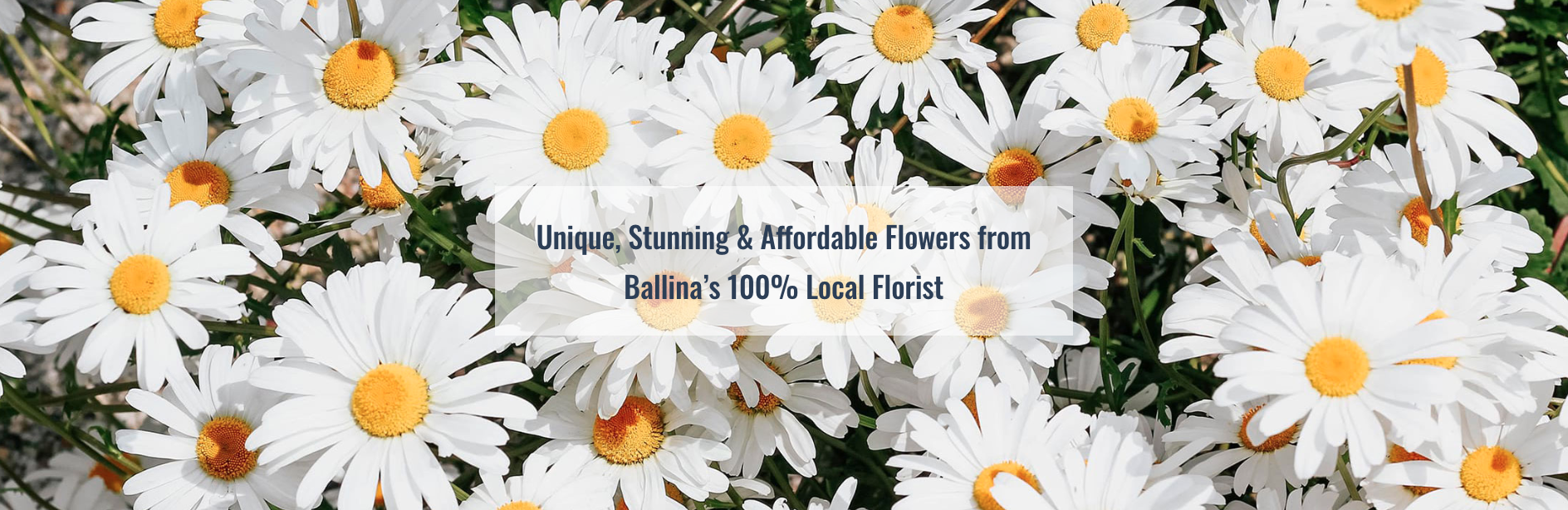 Ballina Florist - Logo