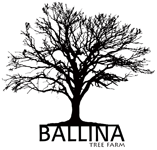 Ballina Tree Farm - Logo