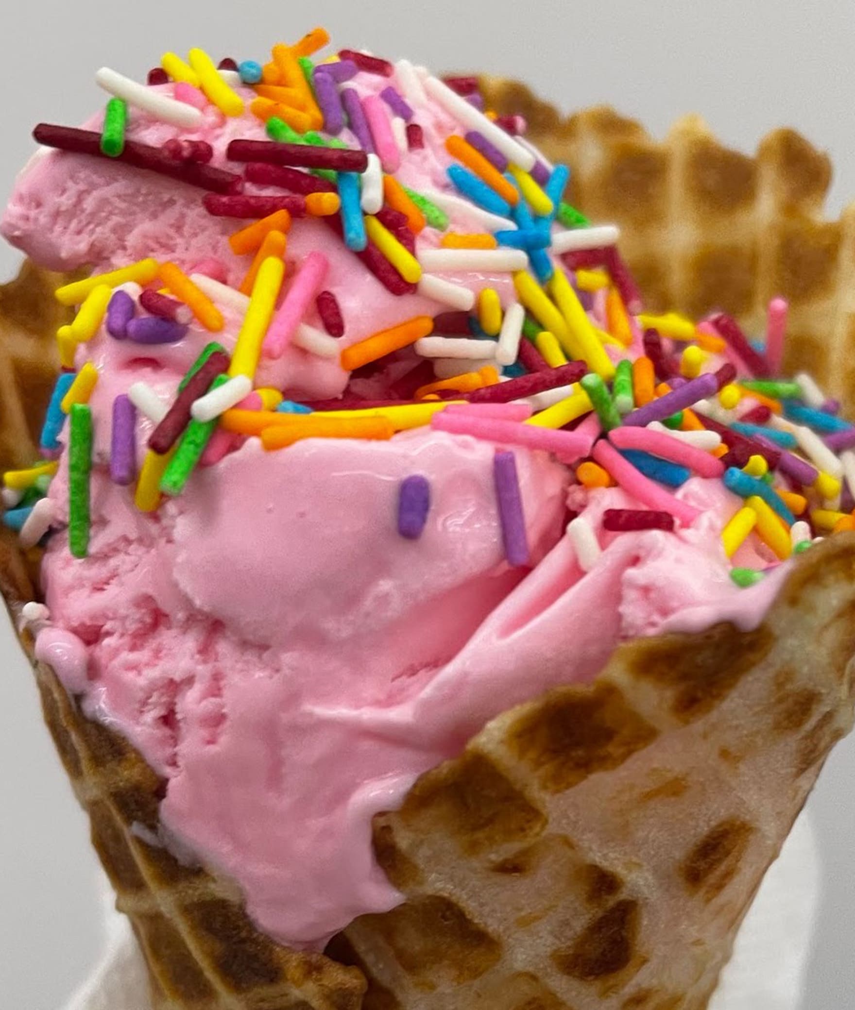 Ballu & Bagheera ICE Cream Parlor - Logo