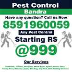 Bandra Pest Control - Logo