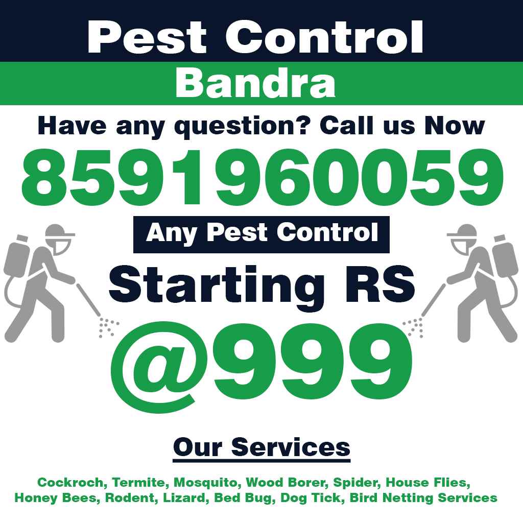 Bandra Pest Control - Cover photo