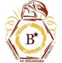 Bangalore Technological Institute (BTI) - Logo