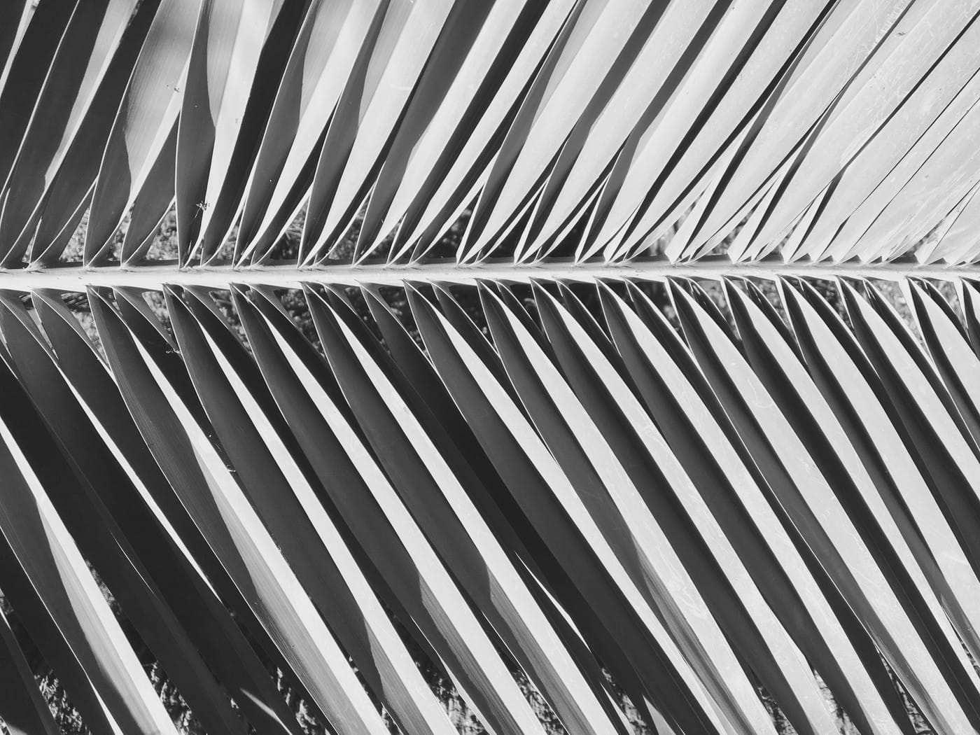 Barefoot Landscape Designers - Cover photo