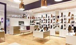 Bargain Basementbasement Collections - Cover photo