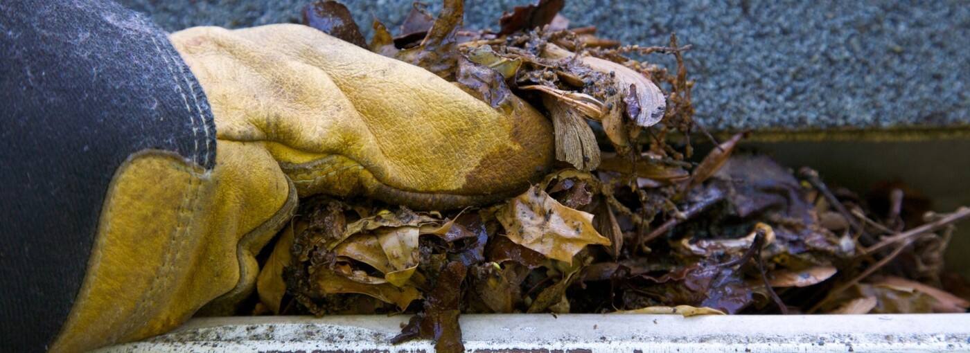 BARJ Gutter Cleaning - Cover photo