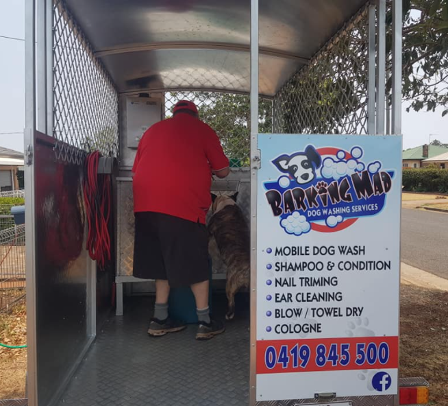 Barking Mad Dog Washing Services - Logo