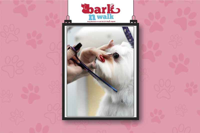 Bark N Walk - Cover photo