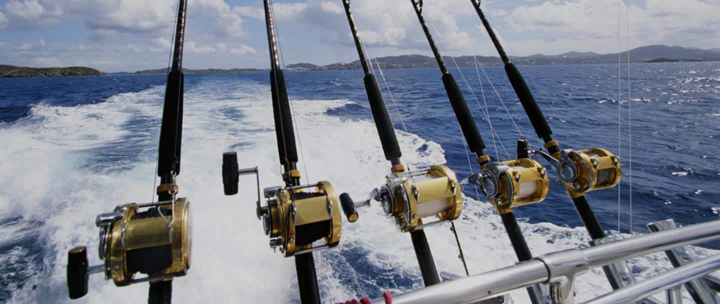Barra2Billfish - Cover photo