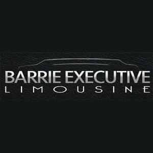 Barrie Executive Limousine - Logo