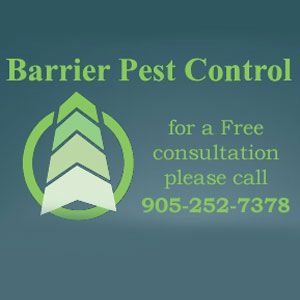 Barrier Pest Control - Cover photo
