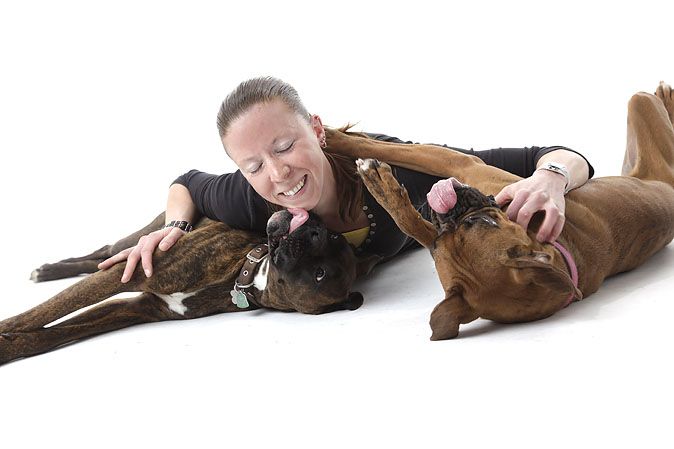 Barrydowne Animal Hospital - Logo