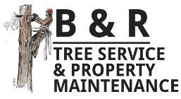 B &a; R Tree Service &a; Property Maintenance - Logo