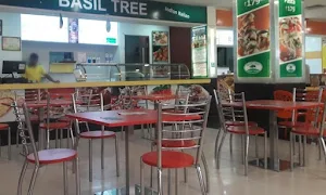 Basil Tree - Cover photo